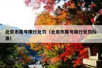 北京市尾号限行处罚（北京市尾号限行处罚标准）
