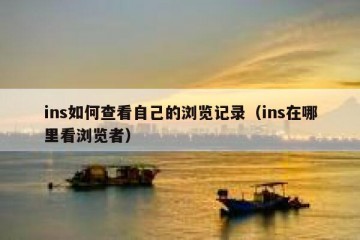 ins如何查看自己的浏览记录（ins在哪里看浏览者）