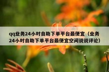 qq业务24小时自助下单平台最便宜（业务24小时自助下单平台最便宜空间说说评论）