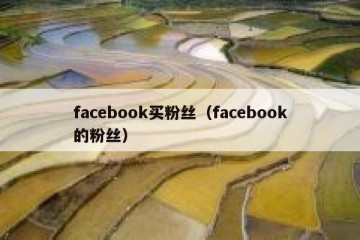 facebook买粉丝（facebook的粉丝）