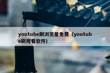 youtube刷浏览量免费（youtube刷观看软件）
