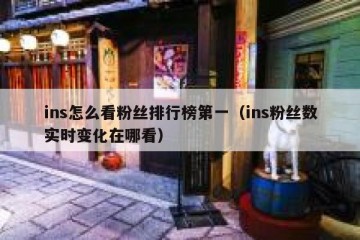 ins怎么看粉丝排行榜第一（ins粉丝数实时变化在哪看）