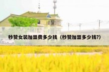 秒赞女装加盟费多少钱（秒赞加盟多少钱?）