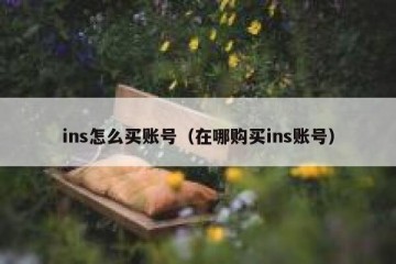 ins怎么买账号（在哪购买ins账号）