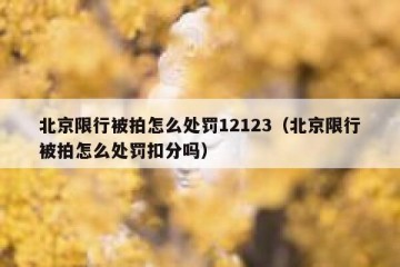 北京限行被拍怎么处罚12123（北京限行被拍怎么处罚扣分吗）