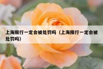 上海限行一定会被处罚吗（上海限行一定会被处罚吗）
