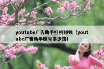 youtube广告助手挂机赚钱（youtube广告助手账号多少钱）