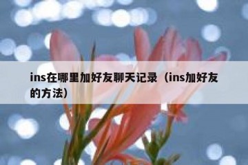 ins在哪里加好友聊天记录（ins加好友的方法）