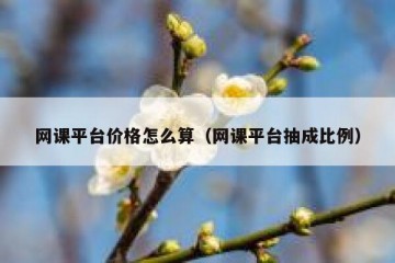 网课平台价格怎么算（网课平台抽成比例）