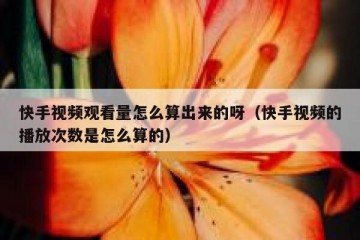 快手视频观看量怎么算出来的呀（快手视频的播放次数是怎么算的）