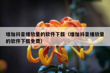 增加抖音播放量的软件下载（增加抖音播放量的软件下载免费）