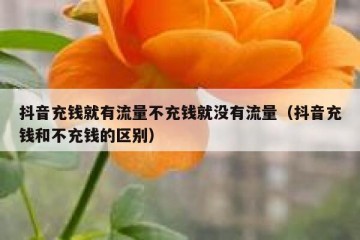 抖音充钱就有流量不充钱就没有流量（抖音充钱和不充钱的区别）