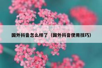 国外抖音怎么样了（国外抖音使用技巧）