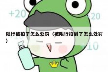 限行被拍了怎么处罚（被限行拍到了怎么处罚）