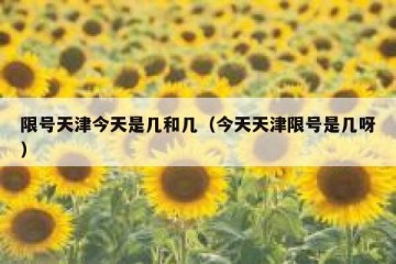 限号天津今天是几和几（今天天津限号是几呀）