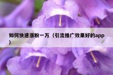 如何快速涨粉一万（引流推广效果好的app）