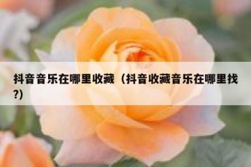 抖音音乐在哪里收藏（抖音收藏音乐在哪里找?）