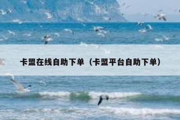卡盟在线自助下单（卡盟平台自助下单）