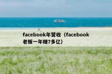 facebook年营收（facebook老板一年赚7多亿）