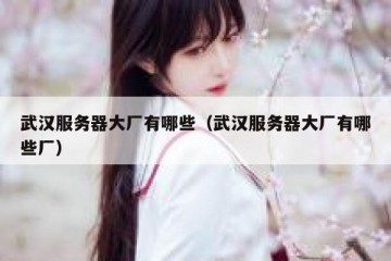 武汉服务器大厂有哪些（武汉服务器大厂有哪些厂）