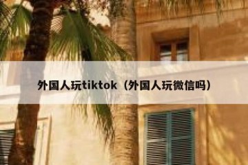 外国人玩tiktok（外国人玩微信吗）