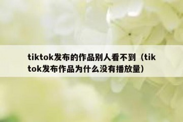 tiktok发布的作品别人看不到（tiktok发布作品为什么没有播放量）