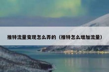 推特流量变现怎么弄的（推特怎么增加流量）
