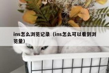 ins怎么浏览记录（ins怎么可以看到浏览量）