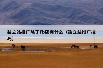 独立站推广除了fb还有什么（独立站推广技巧）