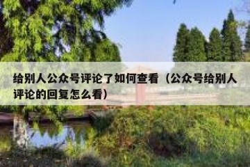 给别人公众号评论了如何查看（公众号给别人评论的回复怎么看）