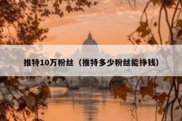 推特10万粉丝（推特多少粉丝能挣钱）
