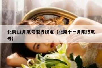 北京11月尾号限行规定（北京十一月限行尾号）