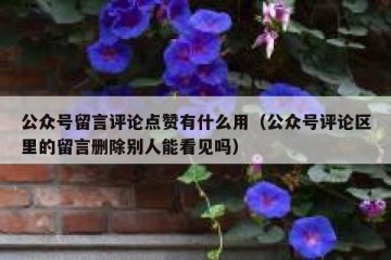 公众号留言评论点赞有什么用（公众号评论区里的留言删除别人能看见吗）