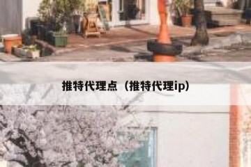 推特代理点（推特代理ip）