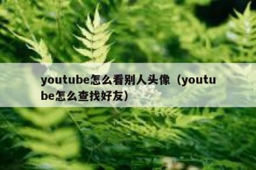 youtube怎么看别人头像（youtube怎么查找好友）