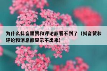 为什么抖音里赞和评论都看不到了（抖音赞和评论和消息都显示不出来）