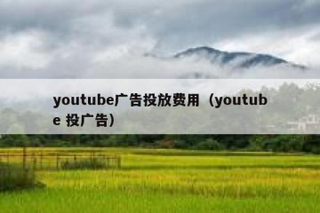 youtube广告投放费用（youtube 投广告）