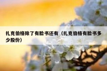 扎克伯格除了有脸书还有（扎克伯格有脸书多少股份）