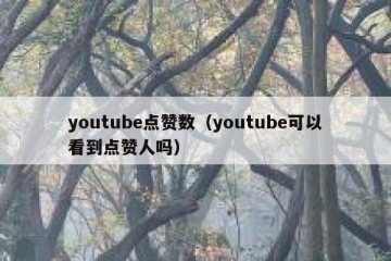 youtube点赞数（youtube可以看到点赞人吗）