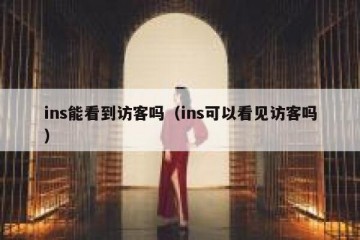 ins能看到访客吗（ins可以看见访客吗）