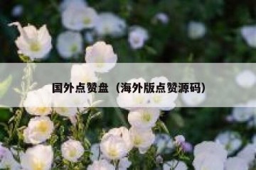 国外点赞盘（海外版点赞源码）