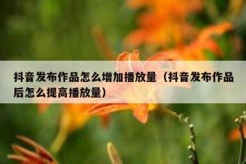 抖音发布作品怎么增加播放量（抖音发布作品后怎么提高播放量）