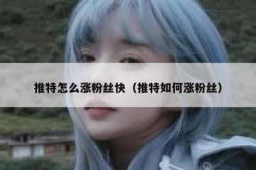 推特怎么涨粉丝快（推特如何涨粉丝）