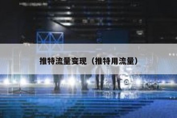 推特流量变现（推特用流量）