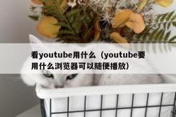 看youtube用什么（youtube要用什么浏览器可以随便播放）