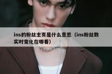 ins的粉丝主页是什么意思（ins粉丝数实时变化在哪看）