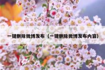 一键删除微博发布（一键删除微博发布内容）