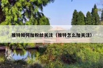 推特如何加粉丝关注（推特怎么加关注）