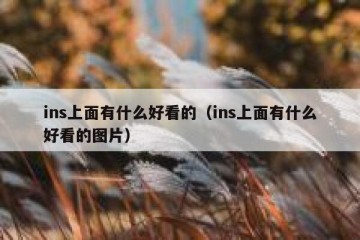 ins上面有什么好看的（ins上面有什么好看的图片）