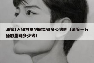 油管1万播放量到底能赚多少钱呢（油管一万播放量赚多少钱）